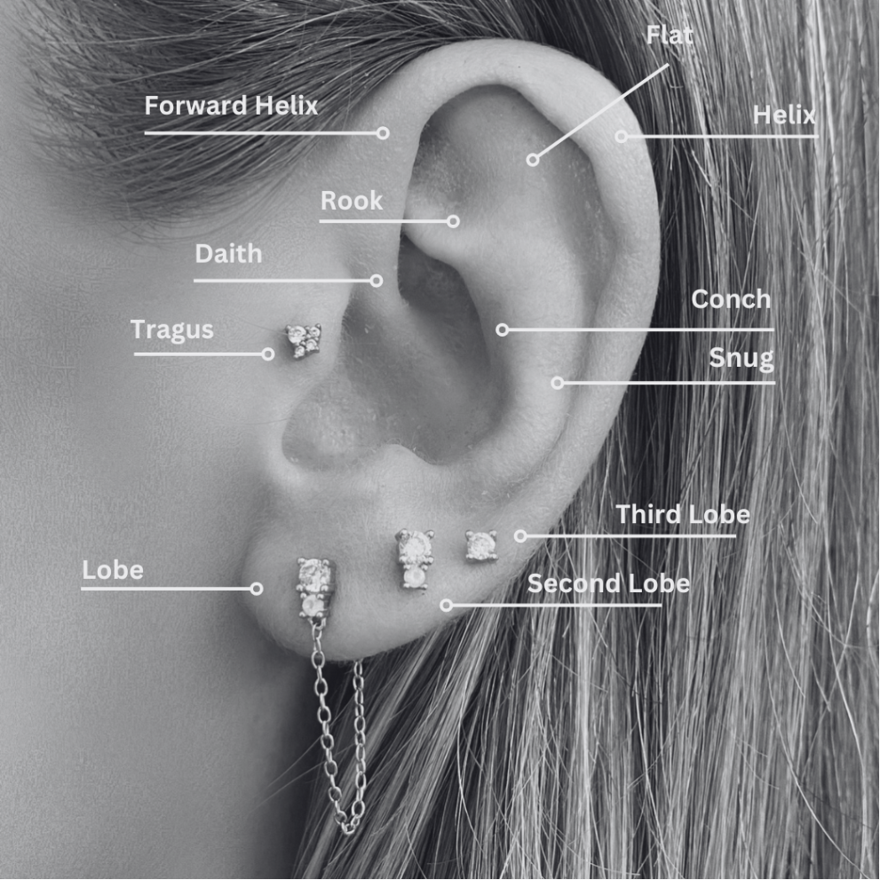 What is a curated ear stack?