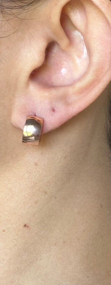 Emilia Classic Hoop Rose Gold Stainless Steel Earrings