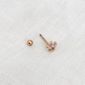 Crown Crystal Barbell Earring - Rose Gold - Blush & Co.