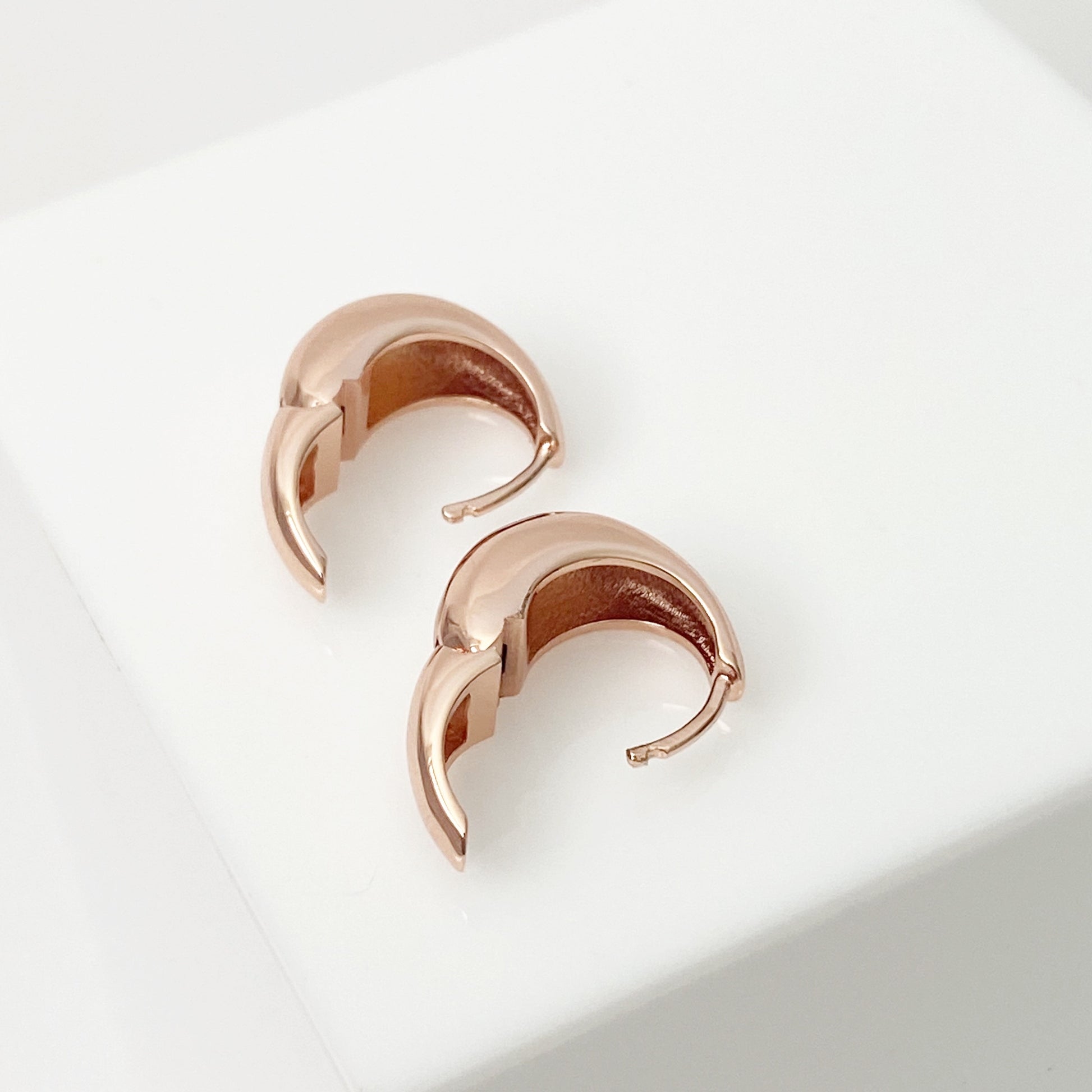 Pippa Hoops - Blush & Co.