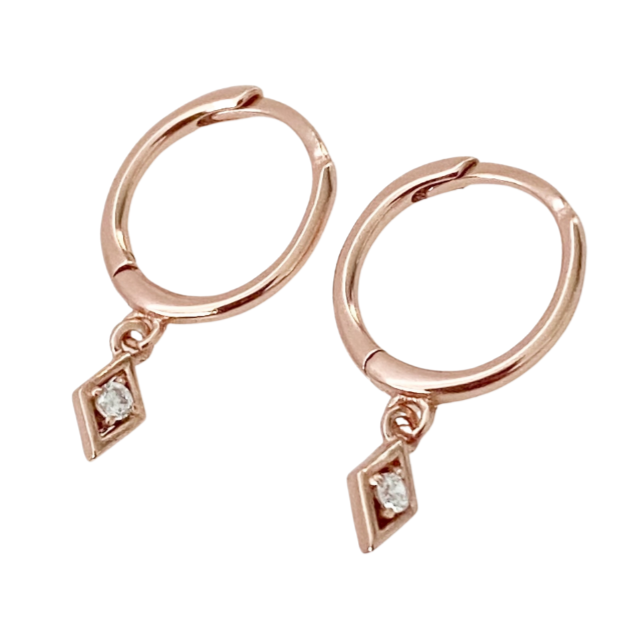 Charlotte Rose Gold Huggie Earrings - Blush & Co.