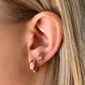 Crown Crystal Barbell Earring - Silver - Blush & Co.